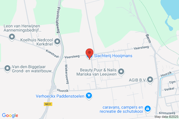 Hooijmans, Willem