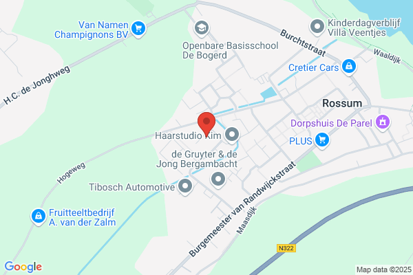 Rijschool Vogel