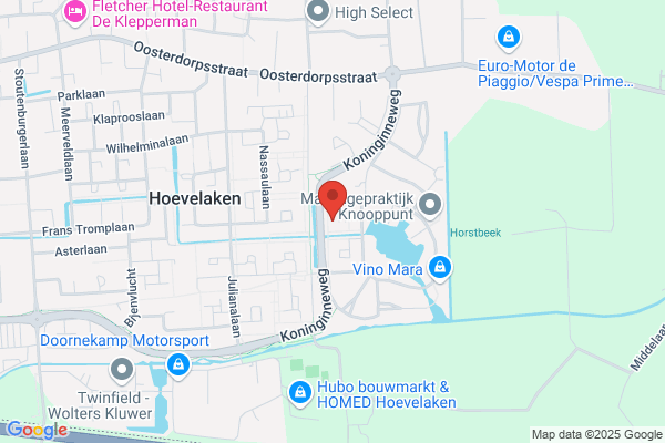Goodman Int Bv