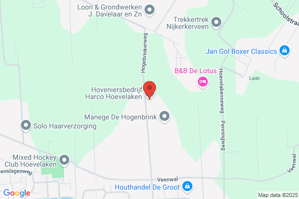 Rakhorst