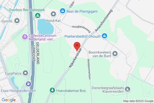 Brandsen, J M