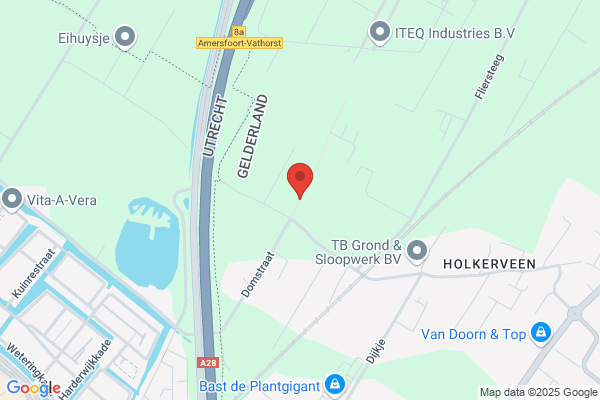 Ibox Dromedaris