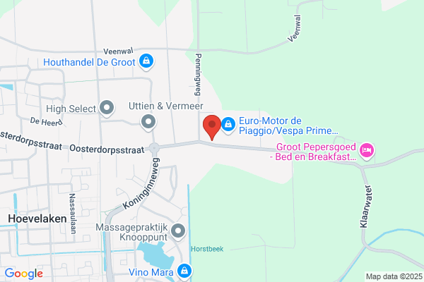 Raadpensionaris, De