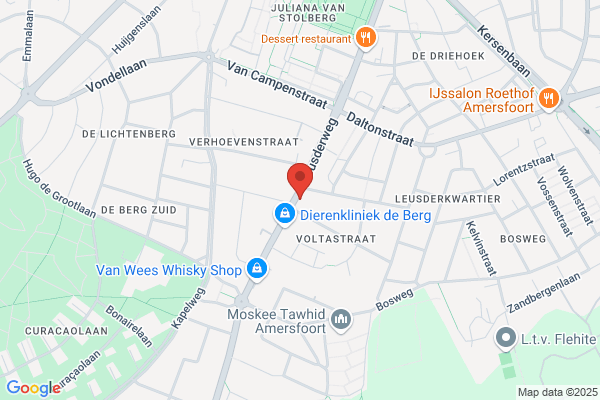 Groene Weg, De