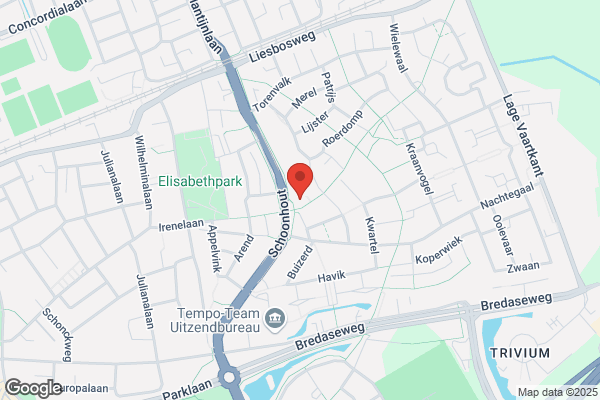 Schoonhout