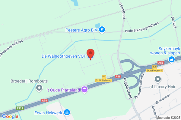 Wijngaards, A