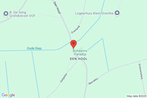 Koning, Hans