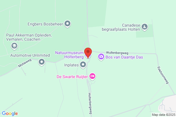 Natuurdiorama Holterberg