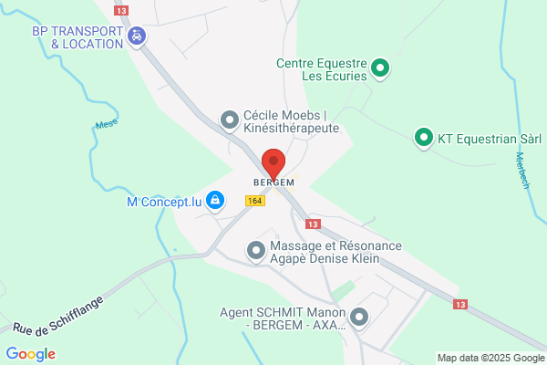 Bergema, D
