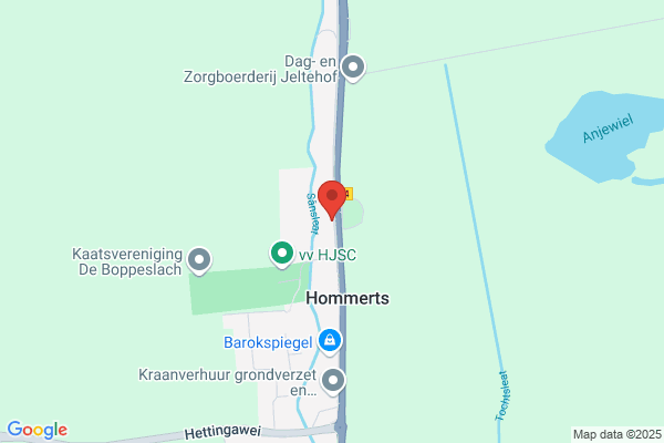 Tjeerd van Netten Hoveniers