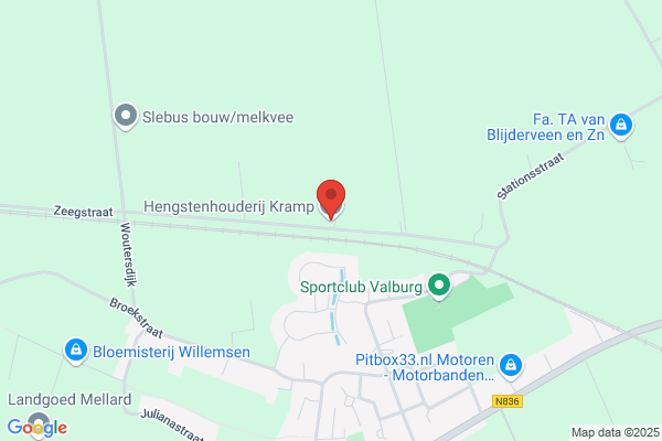 Hengstenhouderij Kramp
