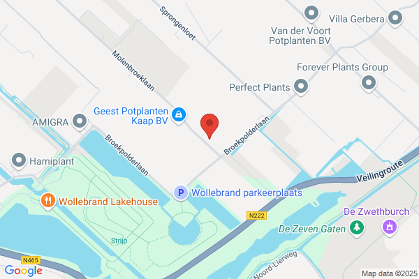 C A Zonneveld