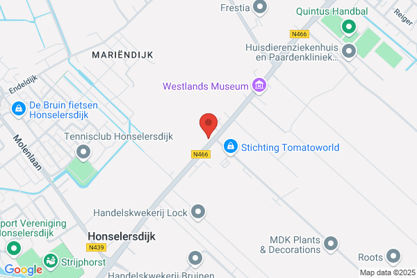 Auto Donkelaar