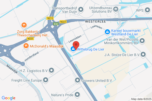 Auto Mondt