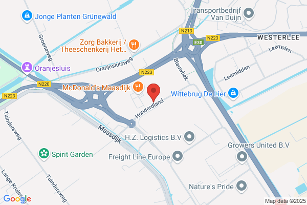 Reinders en van Soest HRM