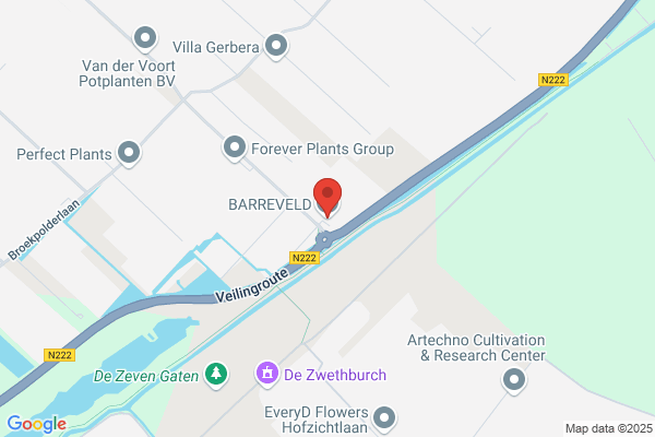 L.B. Van Marrewijk Bloemenkwekerij