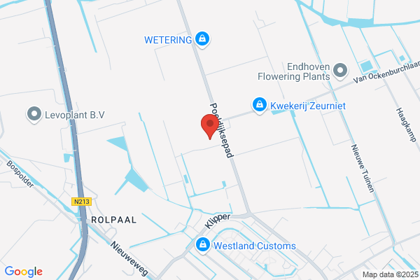 Persoon Potplanten Bv