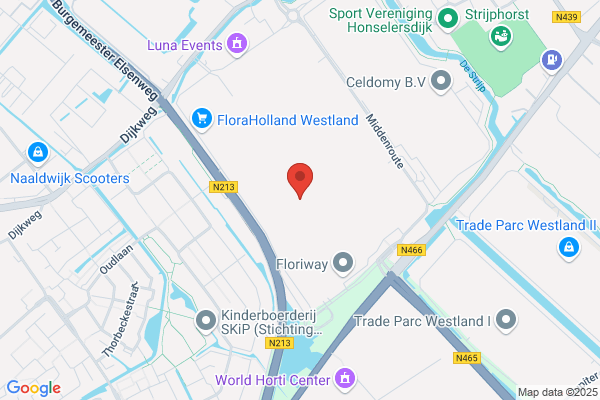 Dutch Flower Sales Bv