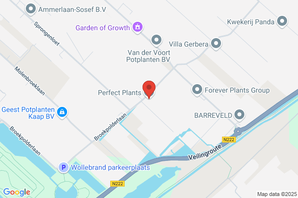 Vitrocom Holland Bv