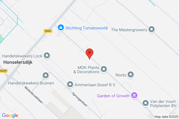 Kwekerij Vof J. Immerzeel