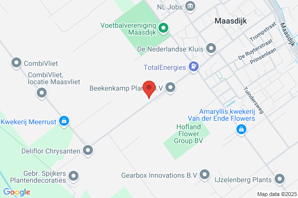 Kwekerijbedrijf N.C. Van Wijk Bv