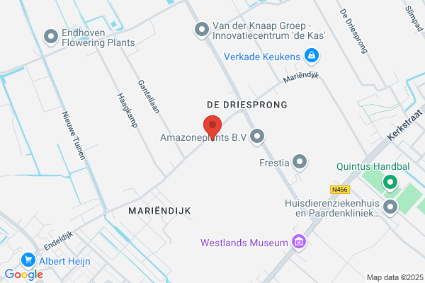 Dameskapsalon Bos
