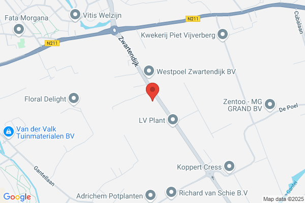 Wubben Bauer - verzekering - hypotheek - pensioen