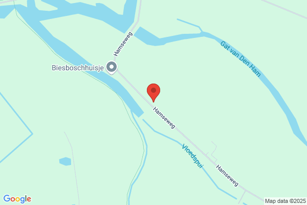 Verhoeve, W