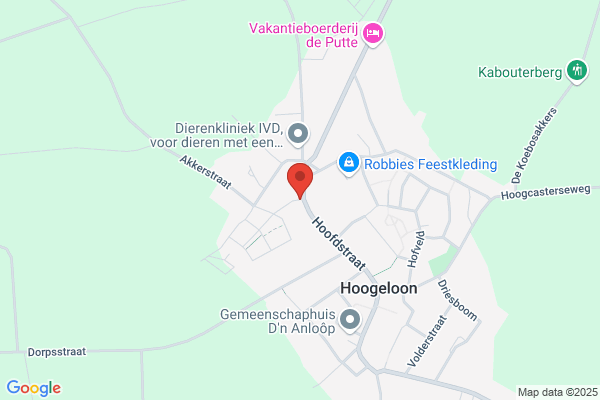 De Ster Café Zaal Biljart