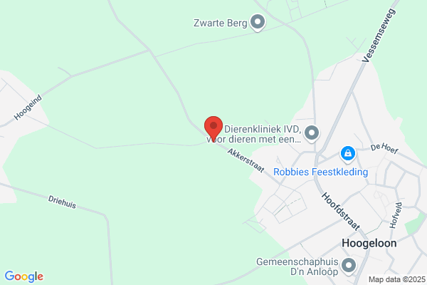 Informatie Filosofie, Sticht