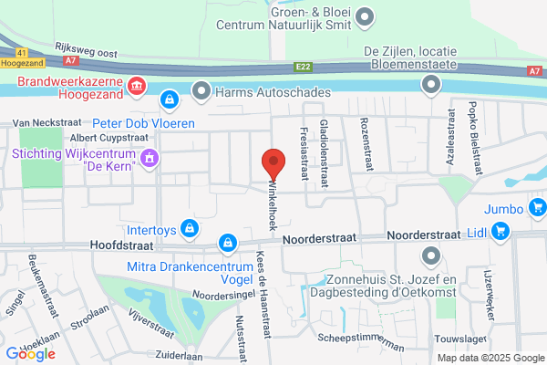 H Van Der Veen
