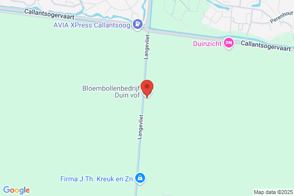 Duijn's Bloembollen
