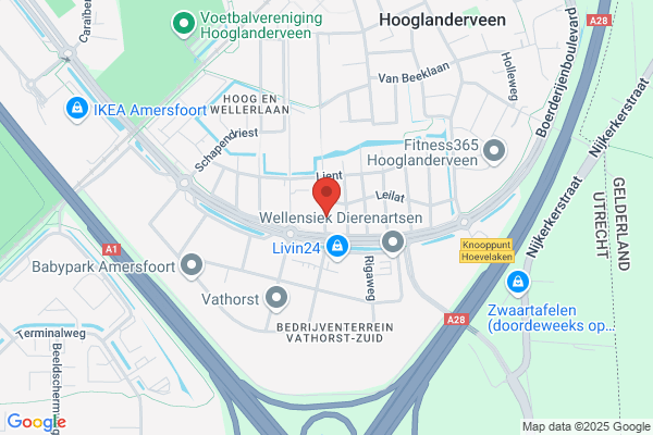 Ades Managementstrategieen