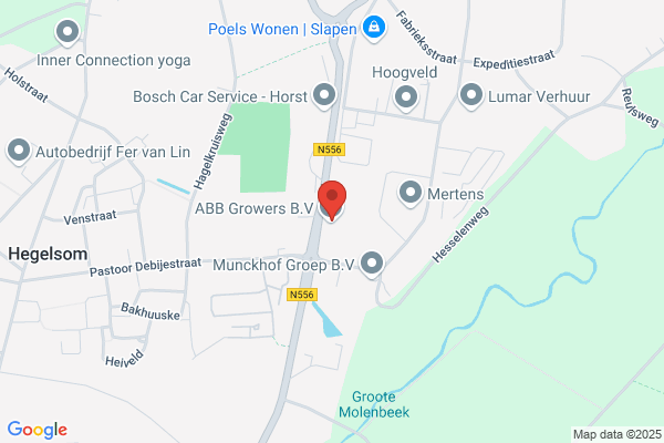 J.P.M. Geurts Interim Management