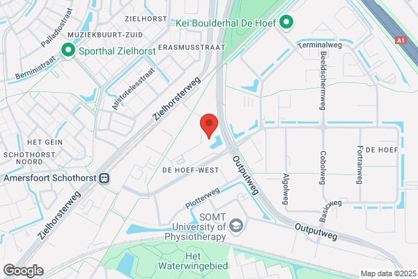 Thorax Informatieprojecten & Advies