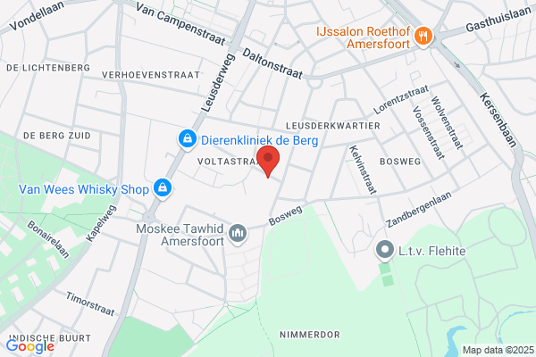 Davidse-Van Der Windt, A