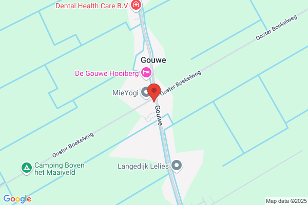 Wapenaar, M