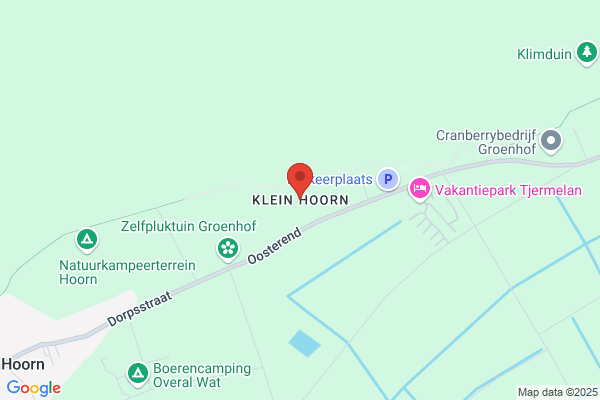 A. Klein