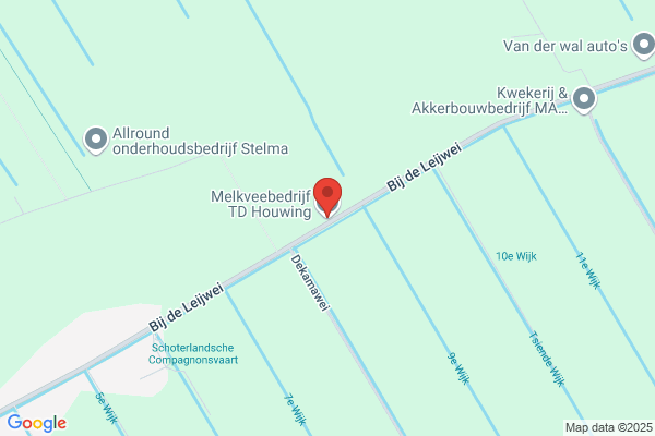 Hooymans, N