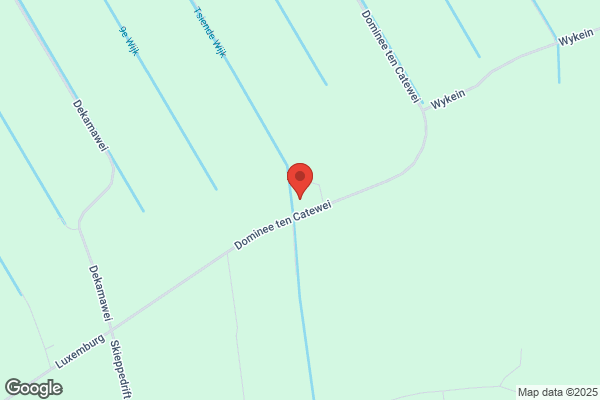 Timmerman, H