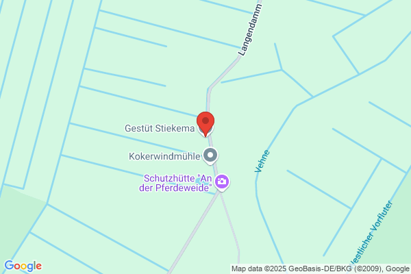 Niek Stiekema