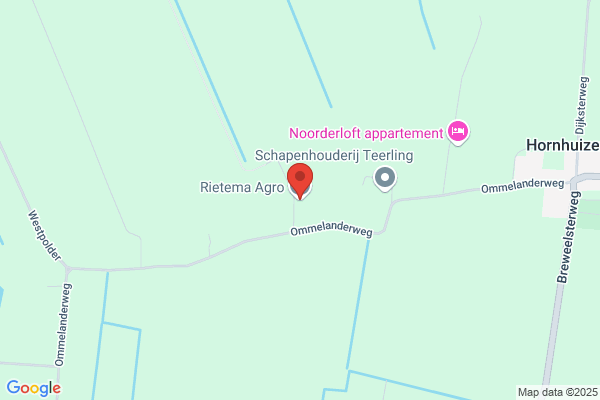 Ritzema, J