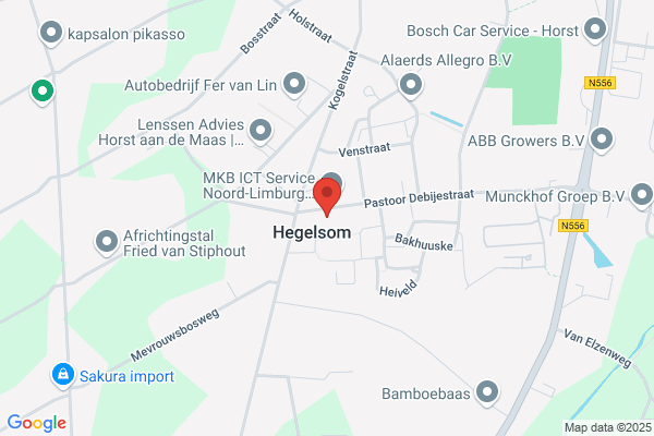 Phoenix, Jongeren Soc