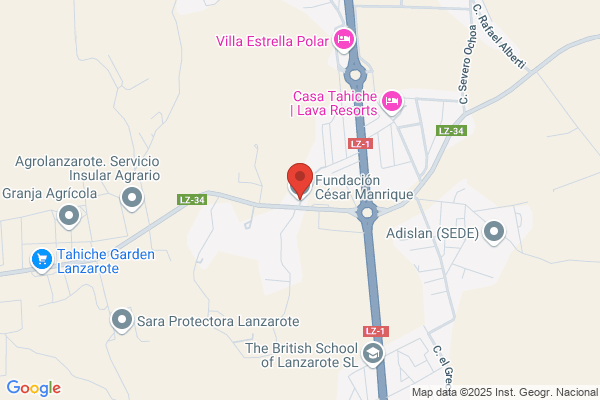 Manrique Consult