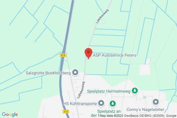 Asp Autoservice