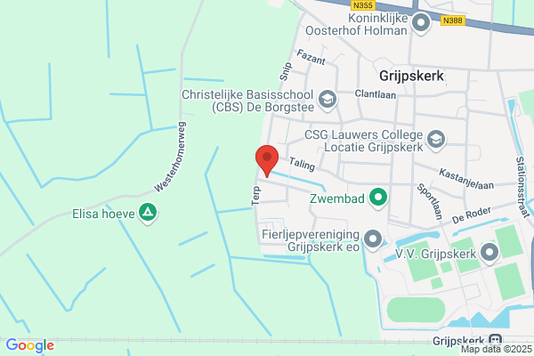 Reinders, Saskia
