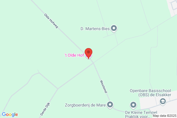 Olde Hof, 't