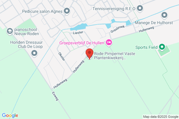 De Rode Pimpernel