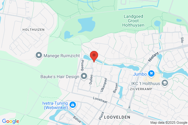 Henk