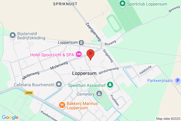 Fysiotherapie J Dekker en S Hanemaaijer